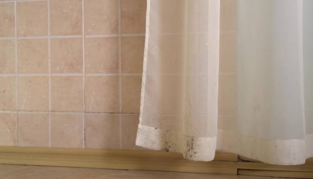 Best Emergency Mold Remediation  in Rockaway Beach, OR