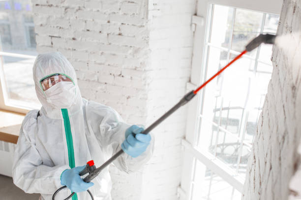 Best Mold Prevention Services  in Rockaway Beach, OR