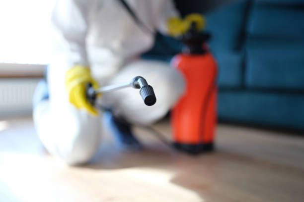 Best Dehumidification Services  in Rockaway Beach, OR