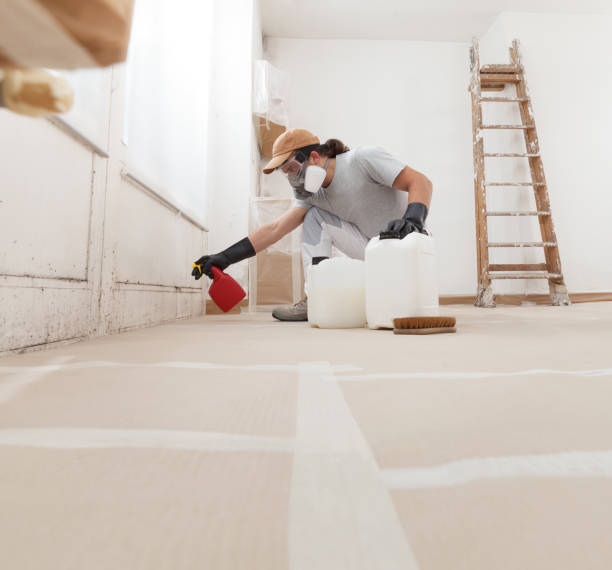Best Environmental Consulting for Mold Prevention  in Rockaway Beach, OR