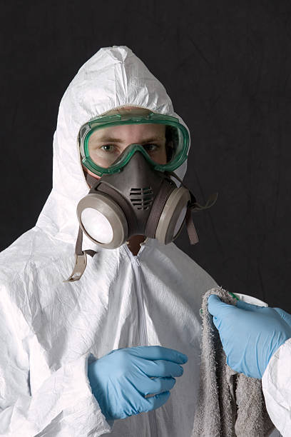 Best Asbestos and Lead Testing During Mold Inspection  in Rockaway Beach, OR